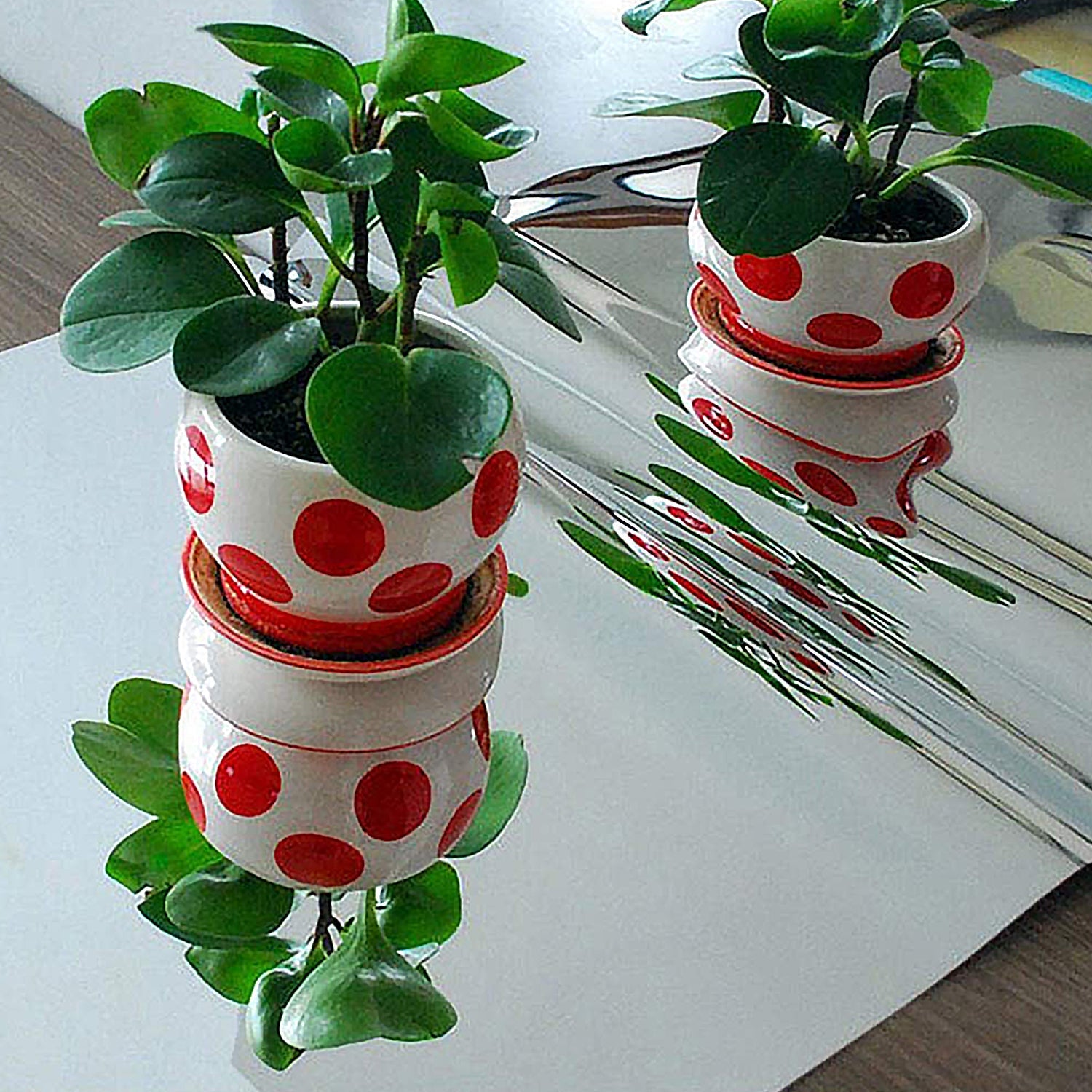 3D Mirror Wall Stickers Wall Mirror Decorative Mirror Paper for Home, Living Room Wall, Bedroom Wall, TV Backdrop Use Paper (100×50 Cm / 3 Pc ) 3D Mirror Wall Stickers Wall Mirror Decorative Mirror Paper for Home, Living Room Wall, Bedroom Wall, TV Backdrop Use Paper (100×50 Cm / 3 Pc )